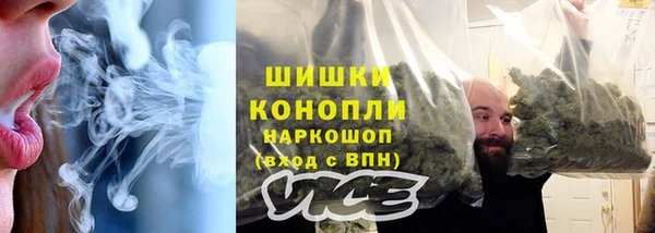 шишки Арсеньев