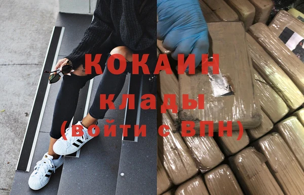 шишки Арсеньев