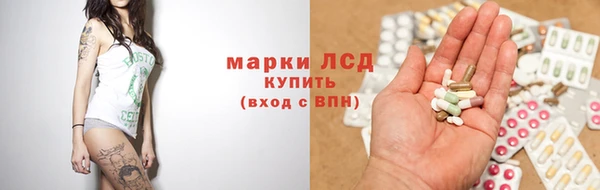 шишки Арсеньев