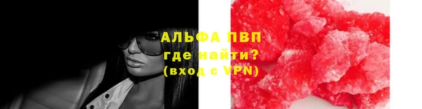 гидра Аркадак