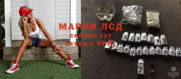 гидра Аркадак