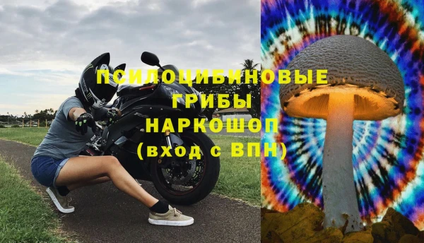 шишки Арсеньев