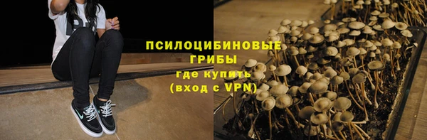 шишки Арсеньев